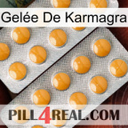 Gelée De Karmagra levitra2
